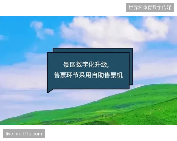 为何票务数字化升级后场馆入场速度反降三成？